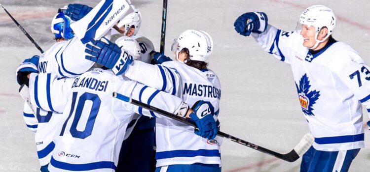 Toronto Marlies Division Titles: A Historic Run in the Making